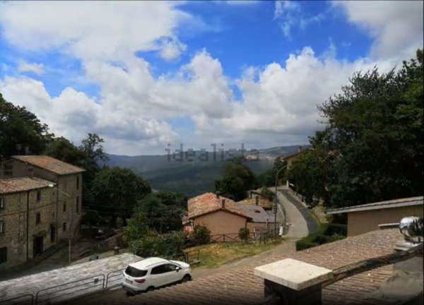 appartamento in vendita a Santa Fiora in zona Bagnolo