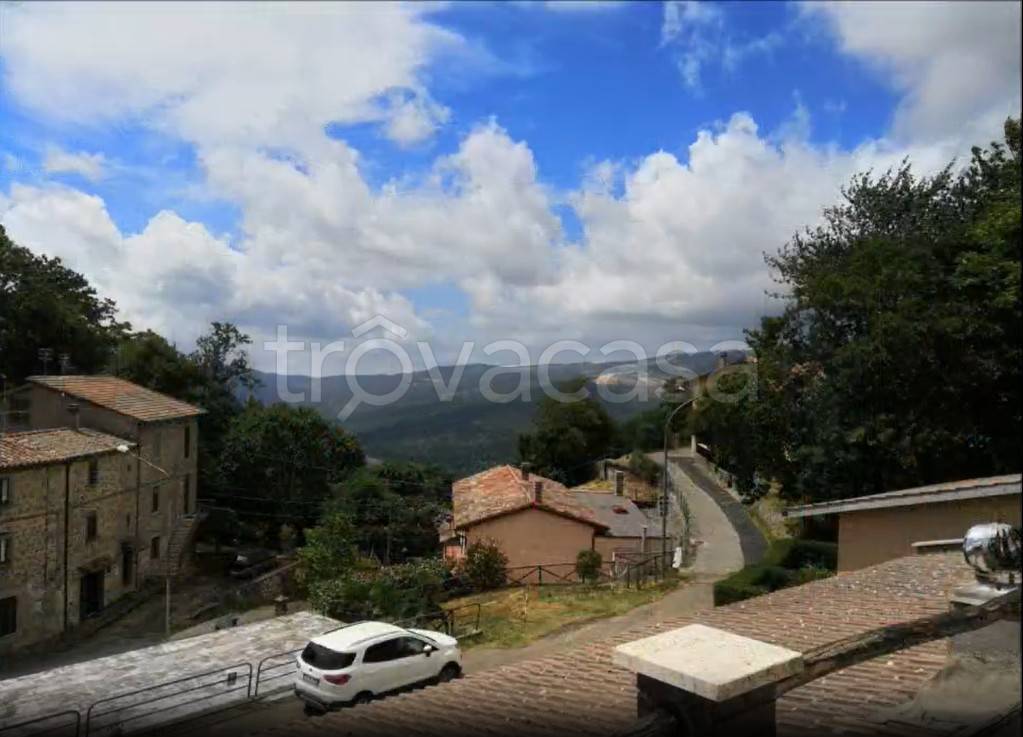 appartamento in vendita a Santa Fiora in zona Bagnolo