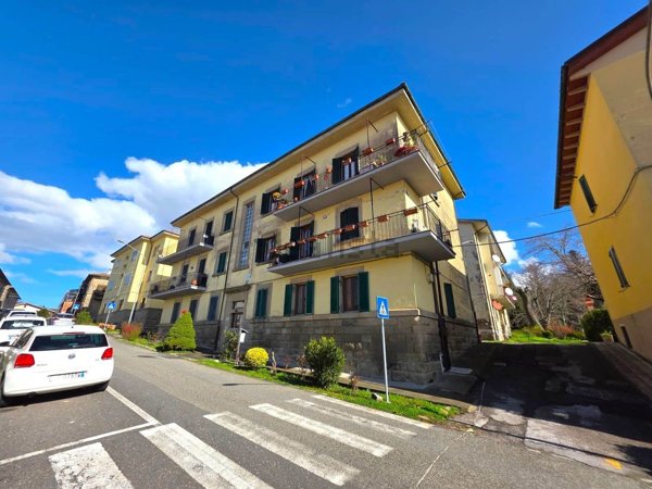 appartamento in vendita a Santa Fiora