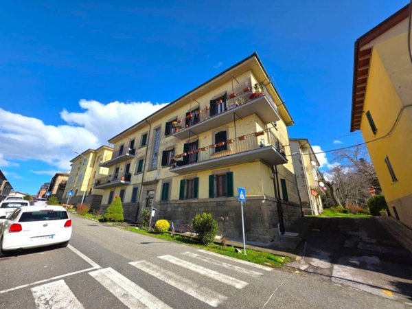 appartamento in vendita a Santa Fiora