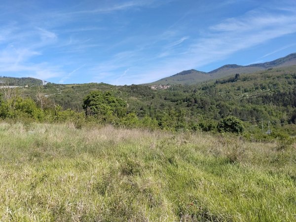 locale di sgombero in vendita a Santa Fiora