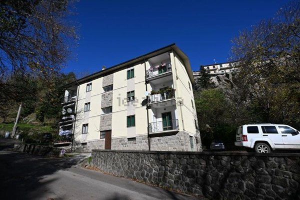 appartamento in vendita a Santa Fiora in zona Marroneto