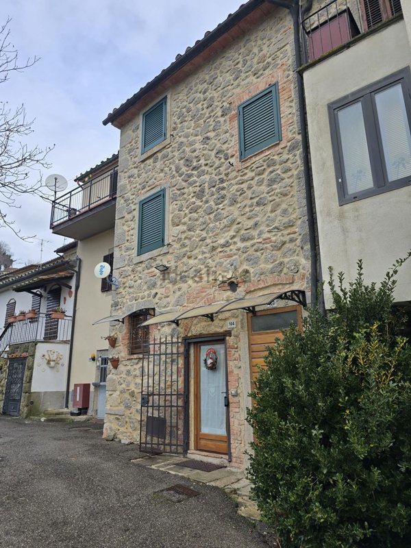 casa indipendente in vendita a Santa Fiora in zona Selva