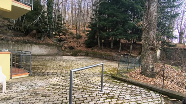 appartamento in vendita a Santa Fiora in zona Bagnolo