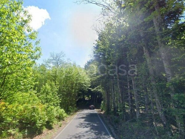 appartamento in vendita a Santa Fiora in zona Bagnolo