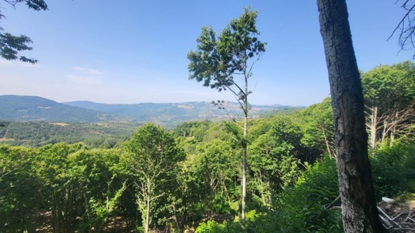 casa indipendente in vendita a Santa Fiora in zona Bagnolo