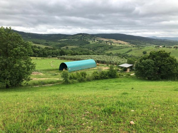 locale di sgombero in vendita a Scansano in zona Pomonte