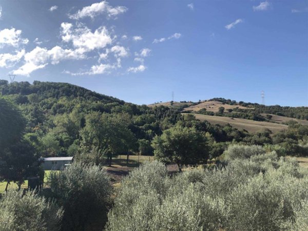 appartamento in vendita a Scansano in zona Baccinello