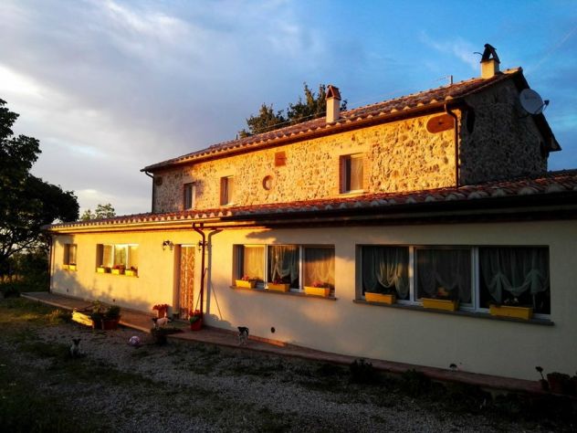 appartamento in vendita a Scansano
