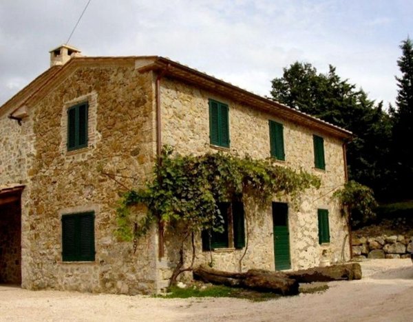 appartamento in vendita a Scansano
