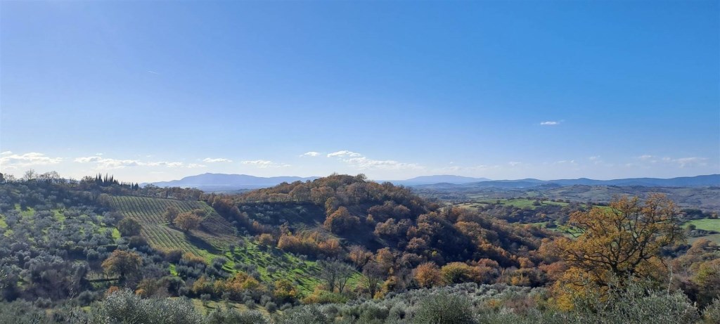 casa indipendente in vendita a Scansano in zona Pancole