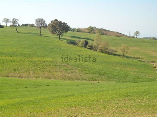 appartamento in vendita a Scansano
