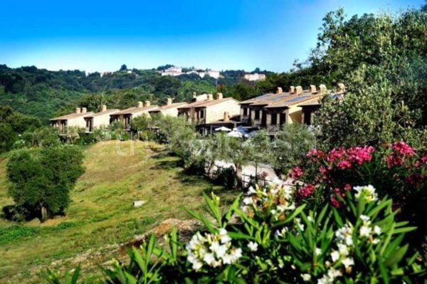 negozio in vendita a Scansano