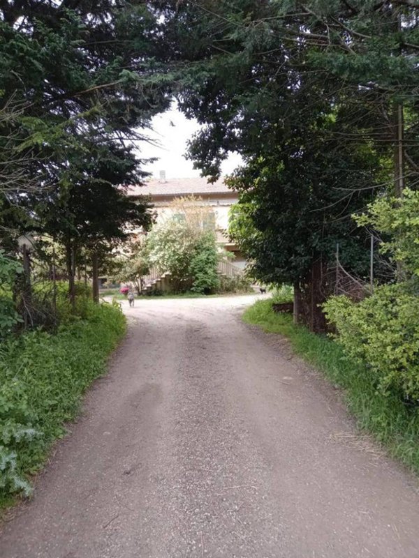 casa indipendente in vendita a Scansano