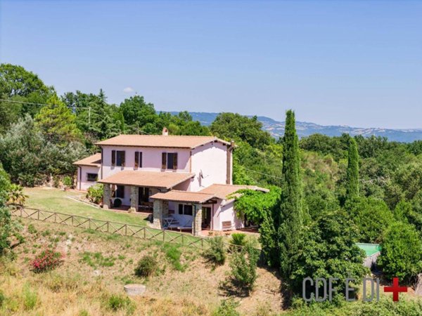 casa indipendente in vendita a Scansano in zona Murci