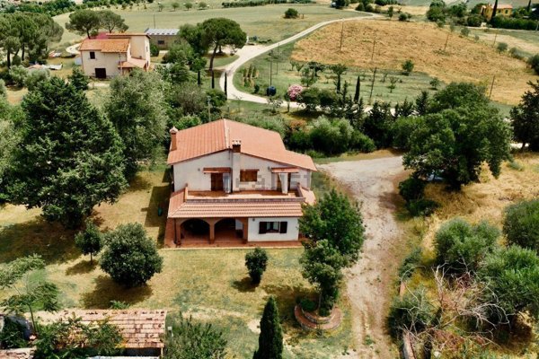 esavano in vendita a Scansano