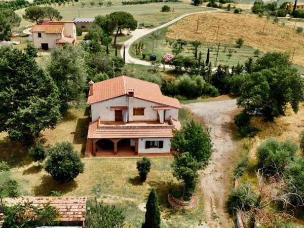esavano in vendita a Scansano