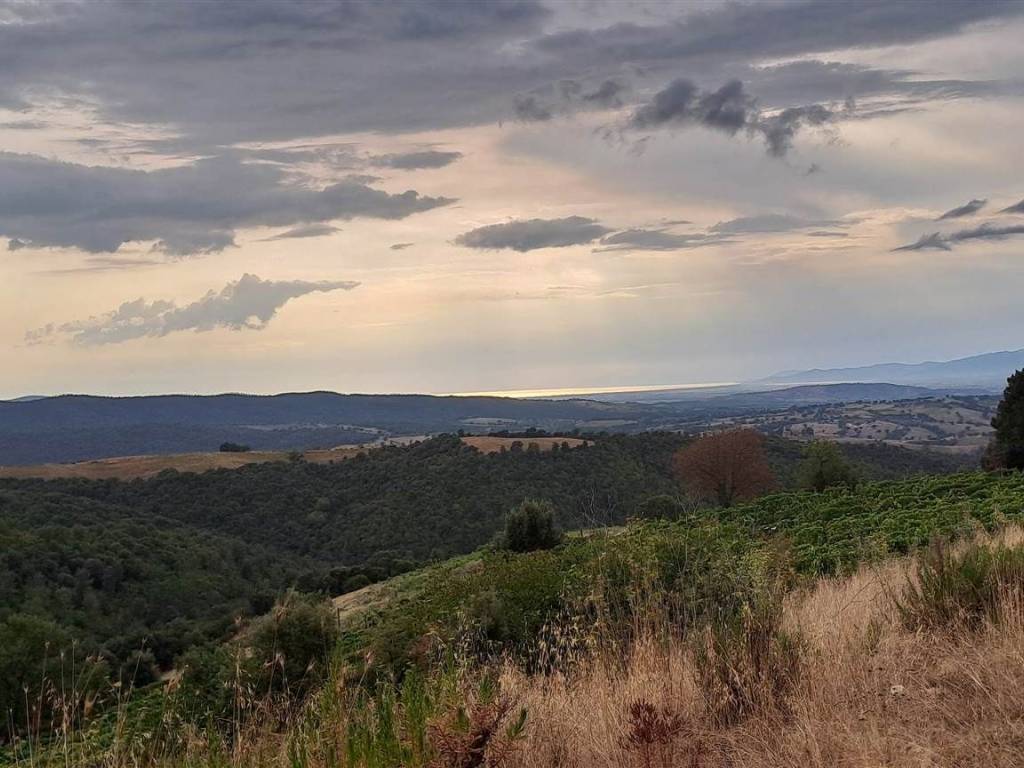 casa indipendente in vendita a Scansano