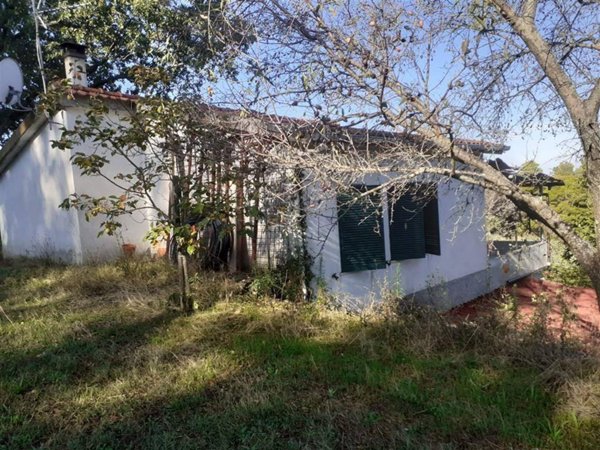 casa indipendente in vendita a Scansano