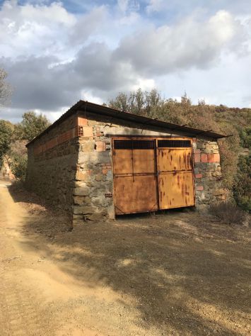 casa indipendente in vendita a Scansano
