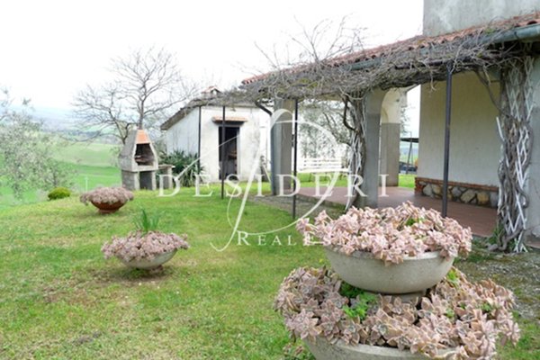 azienda agricola in vendita a Scansano in zona Poggioferro