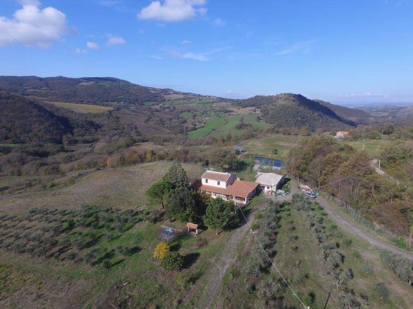 appartamento in vendita a Scansano