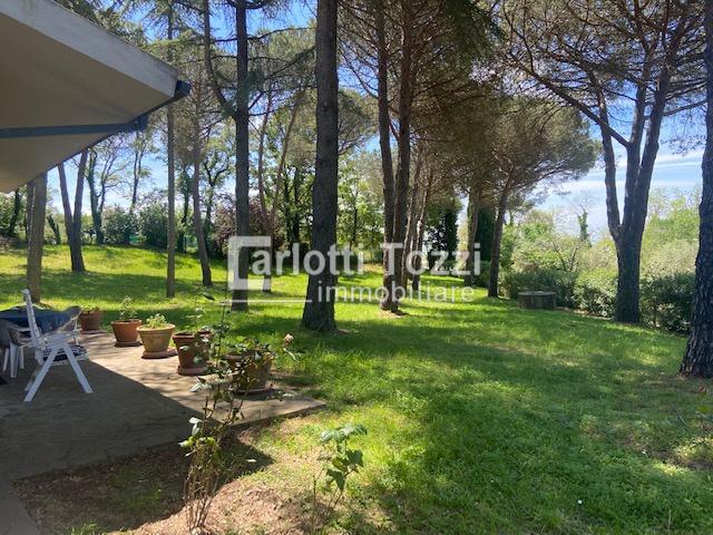 negozio in vendita a Scansano in zona Pancole