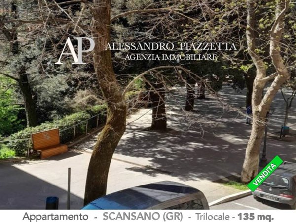 appartamento in vendita a Scansano
