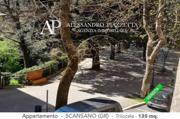 appartamento in vendita a Scansano