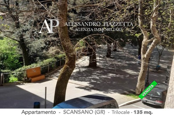 appartamento in vendita a Scansano