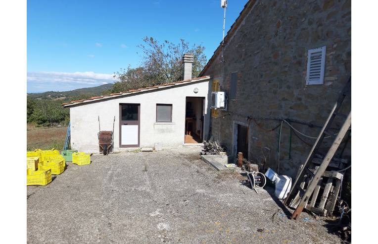 terreno agricolo in vendita a Scansano in zona Pancole