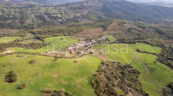 casa indipendente in vendita a Scansano