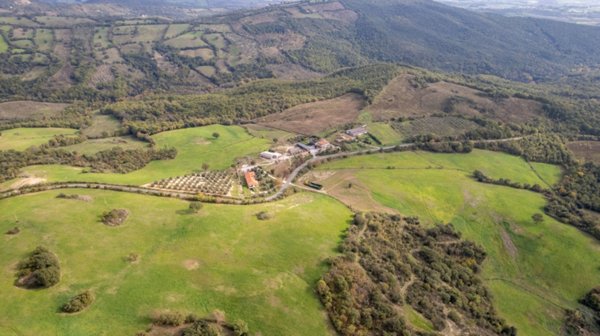 casa indipendente in vendita a Scansano
