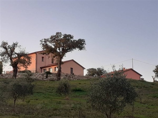 casa indipendente in vendita a Scansano
