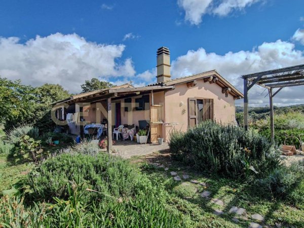 casa indipendente in vendita a Scansano