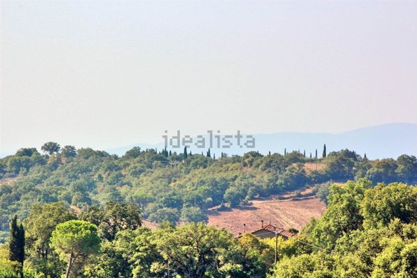 appartamento in vendita a Scansano