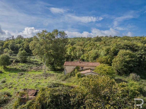 casa indipendente in vendita a Scansano