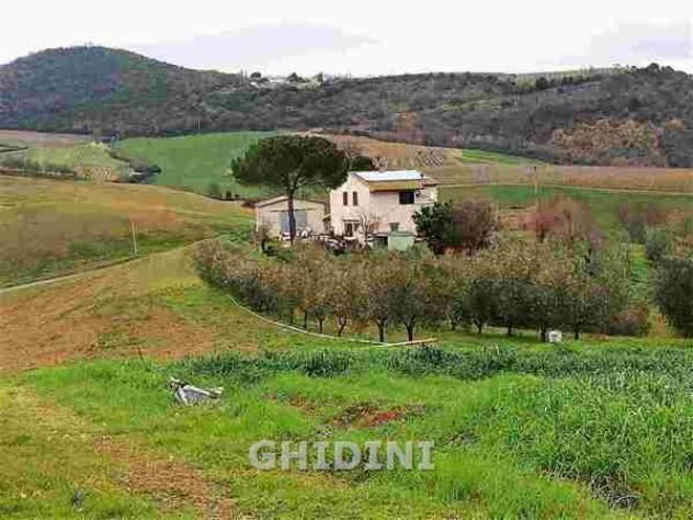 negozio in vendita a Scansano