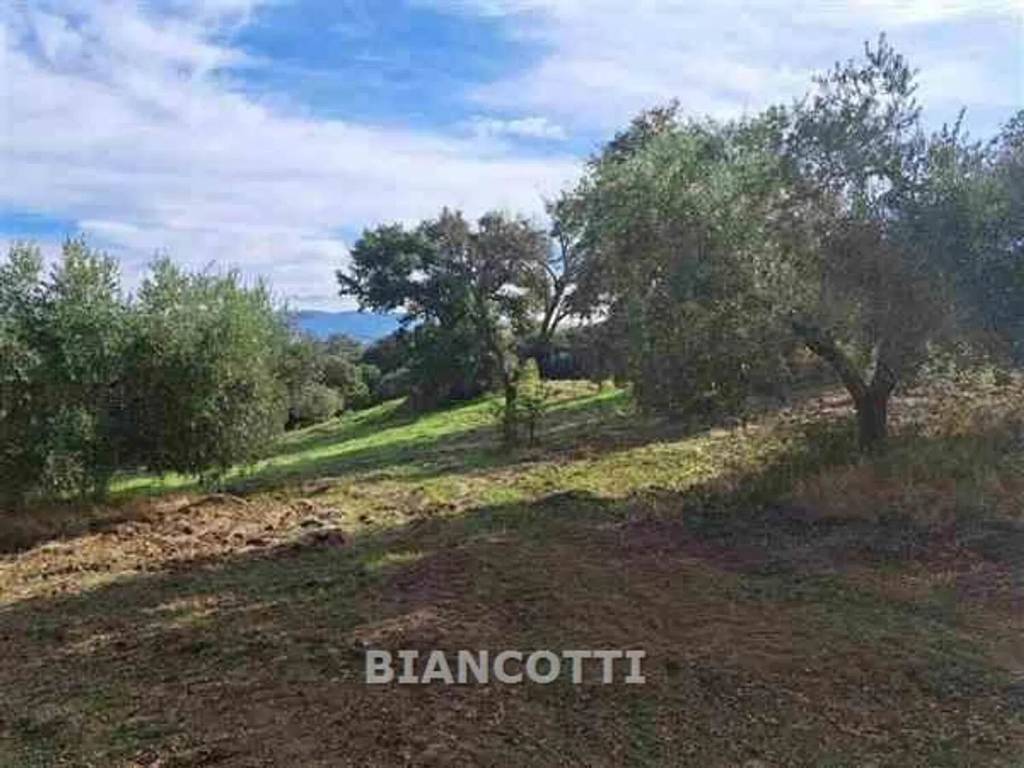 negozio in vendita a Scansano in zona Polveraia