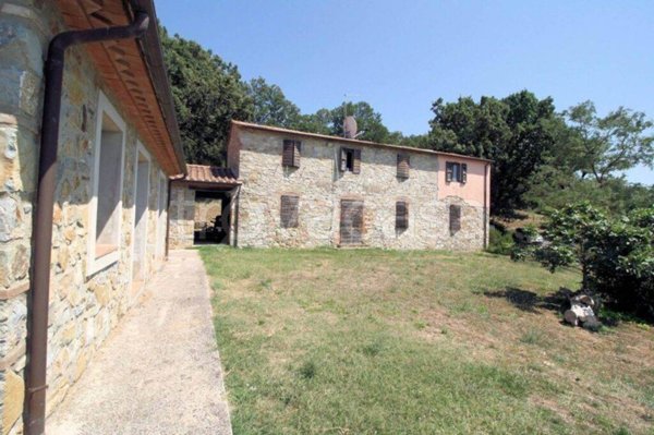 azienda agricola in vendita a Scansano
