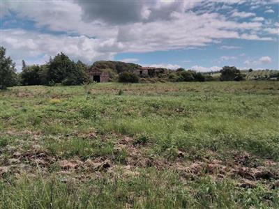 azienda agricola in vendita a Scansano