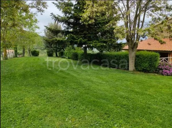 appartamento in vendita a Scansano in zona Polveraia