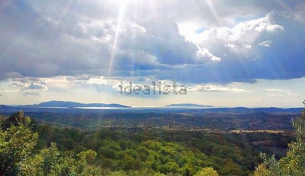 casale in vendita a Scansano