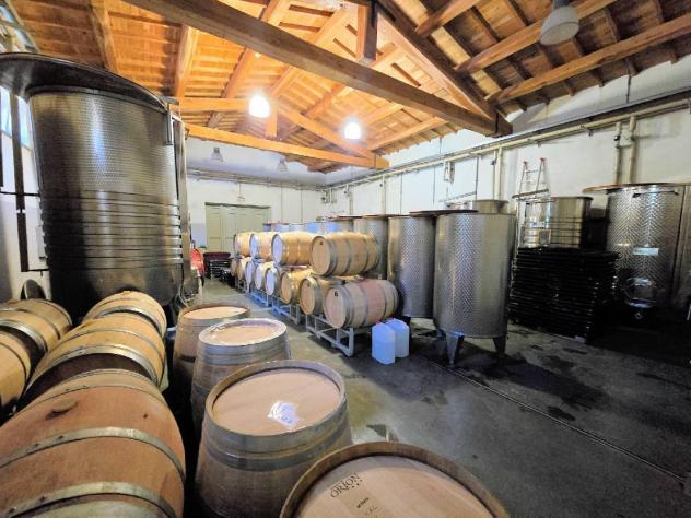 casa indipendente in vendita a Scansano