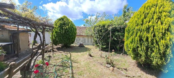 appartamento in vendita a Scansano
