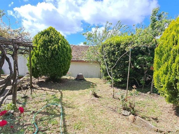 appartamento in vendita a Scansano