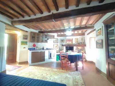 appartamento in vendita a Scansano