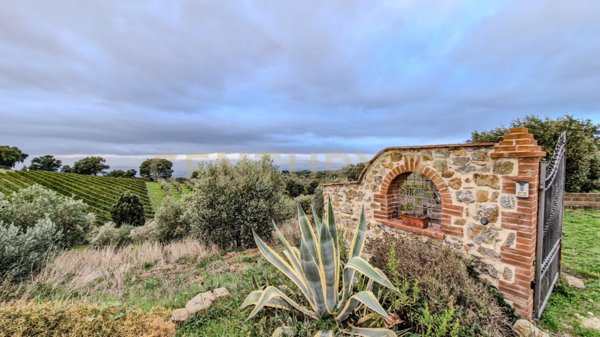 casa indipendente in vendita a Scansano in zona Pancole