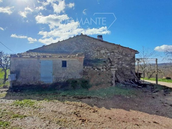quadrivano in vendita a Scansano