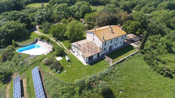 appartamento in vendita a Scansano